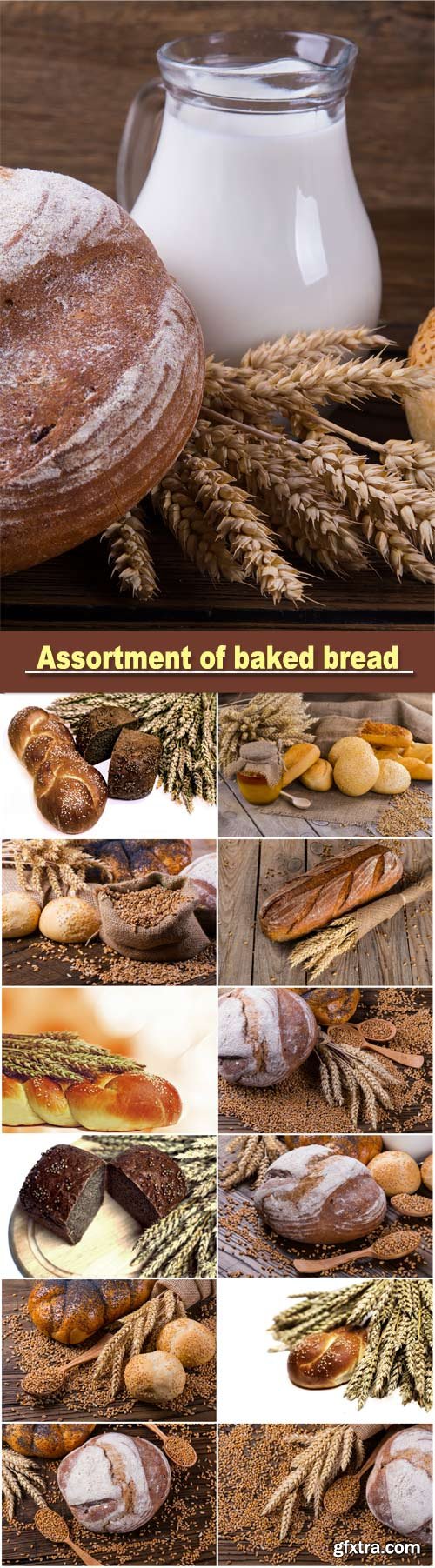 Assortment of baked bread on wooden table background