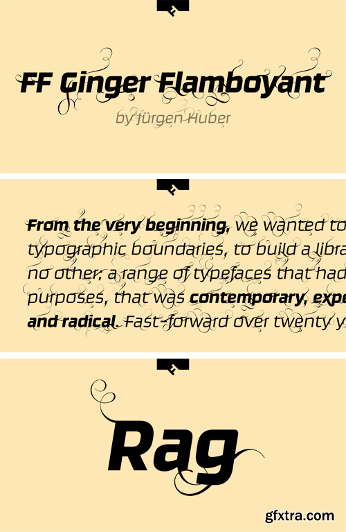 FF Ginger Flamboyant Font Family