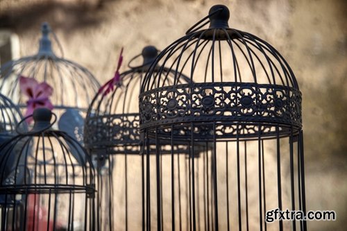 Collection of bird cage grille girl woman 25 HQ Jpeg