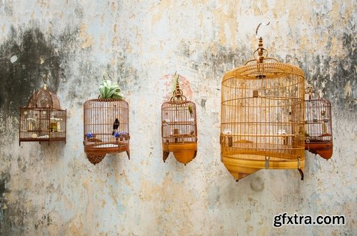 Collection of bird cage grille girl woman 25 HQ Jpeg