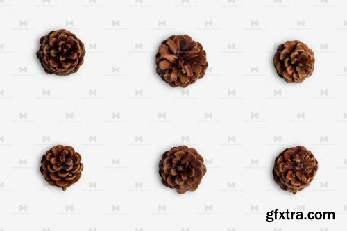 Christmas Pinecones Isolate 01