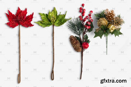 Christmas Flowers Isolate