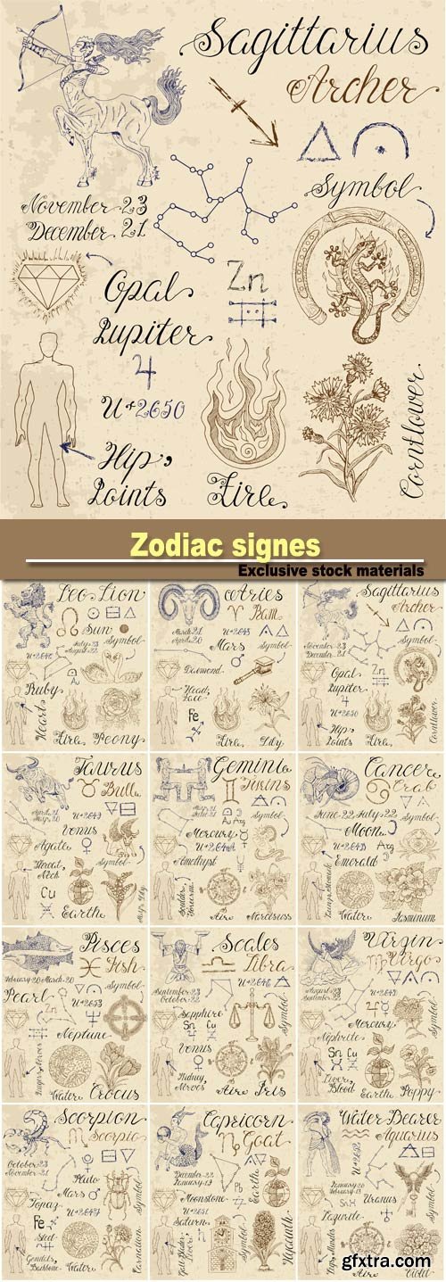 Zodiac signes, a set of characters in the vector