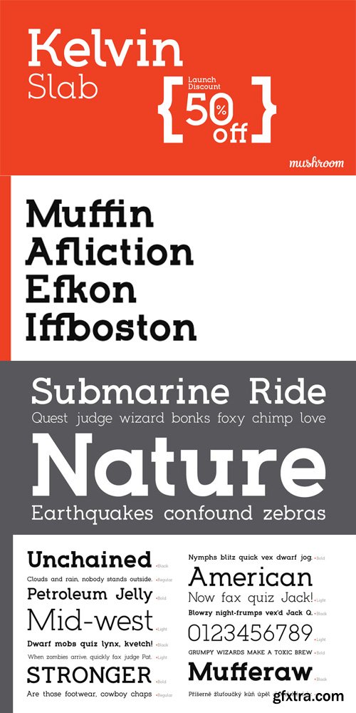 Kelvin Slab Font Family $40