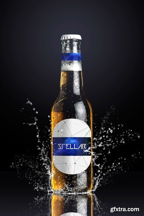 Beer Bottle Mockup 01