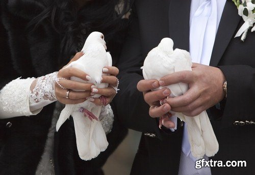 Pigeons in hands of newlyweds-6xJPEGs