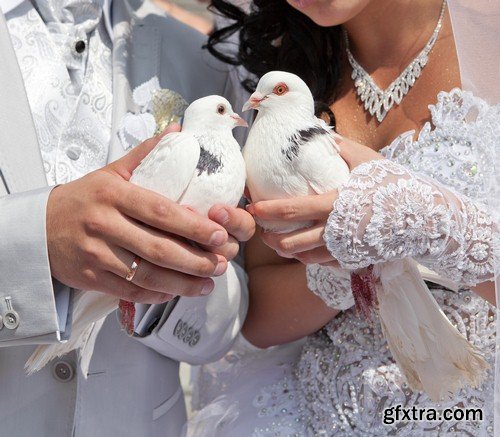 Pigeons in hands of newlyweds-6xJPEGs