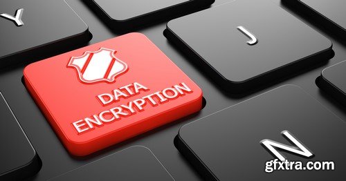 Data Encryption - 15x JPEGs