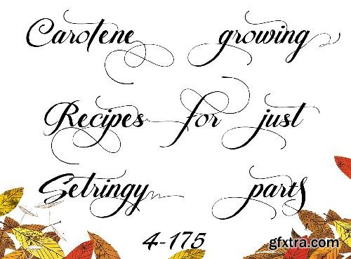 CreativeMarket Pateglamt Script 637916