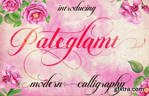 CreativeMarket Pateglamt Script 637916