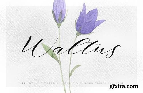 CreativeMarket Waltus 638093