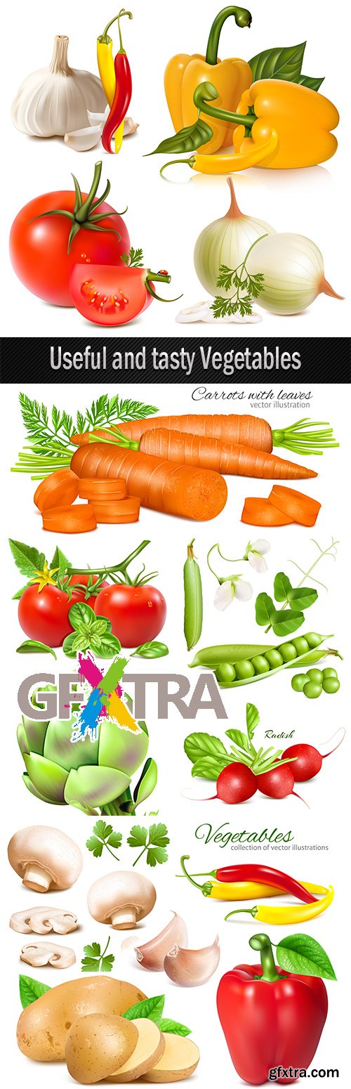 Useful and tasty Vegetables