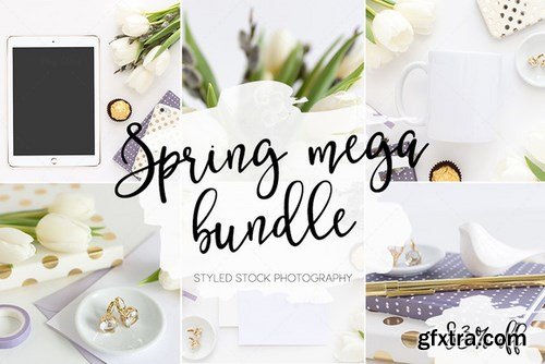 CM - Styled stock mega bundle 647500