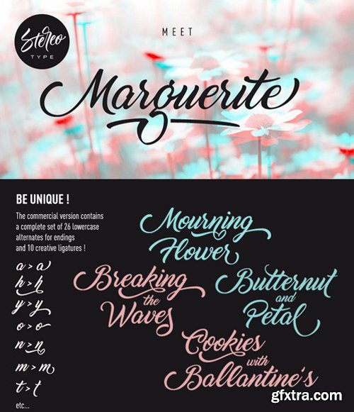 Marguerite Font