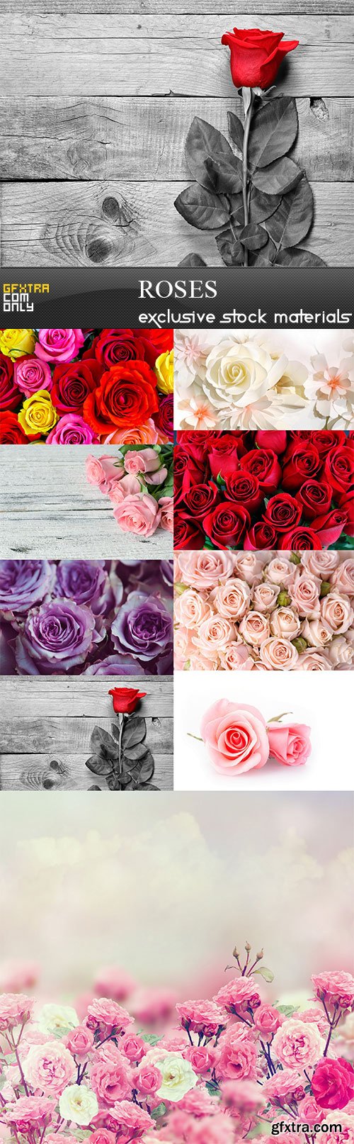 Roses, 9  x  UHQ JPEG