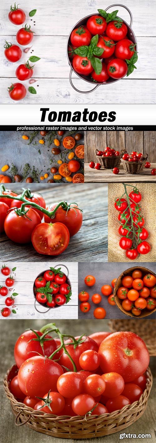 Tomatoes-7xJPEGs