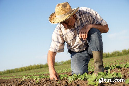 farmer in a field 7X JPEG