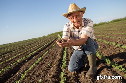 farmer in a field 7X JPEG