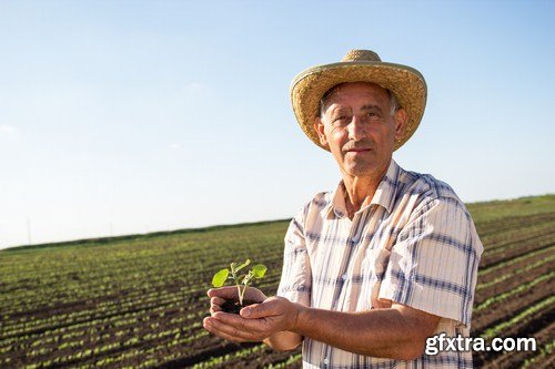 farmer in a field 7X JPEG