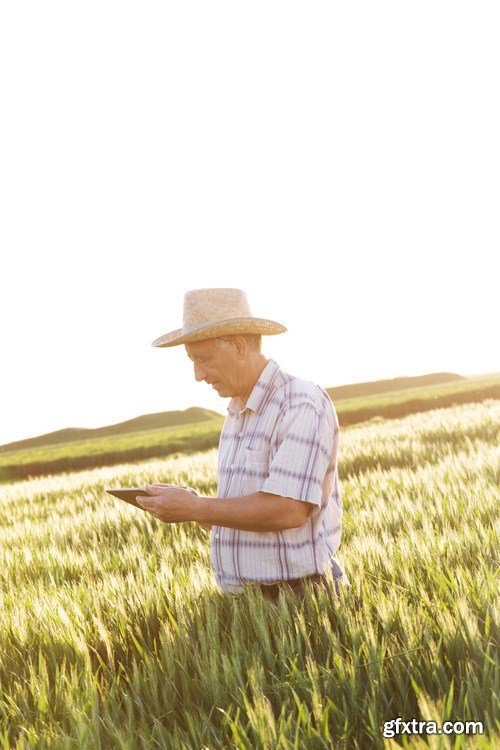 farmer in a field 7X JPEG