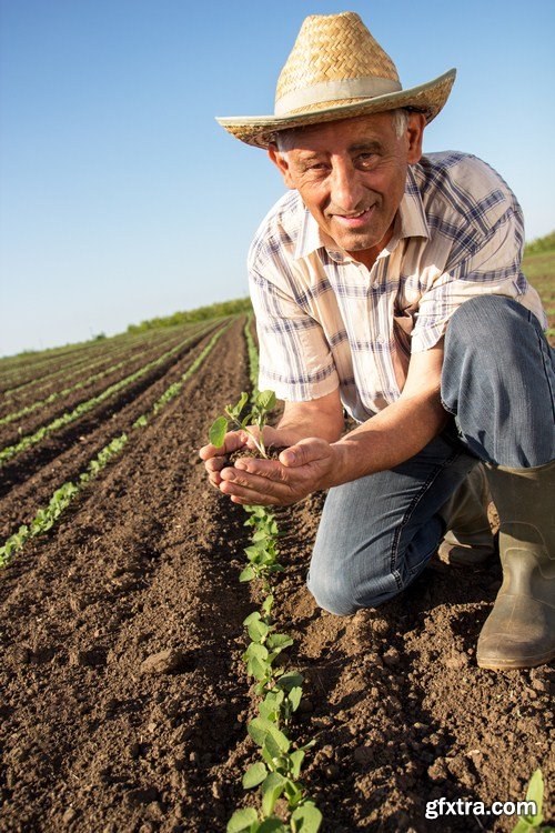 farmer in a field 7X JPEG