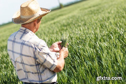 farmer in a field 7X JPEG