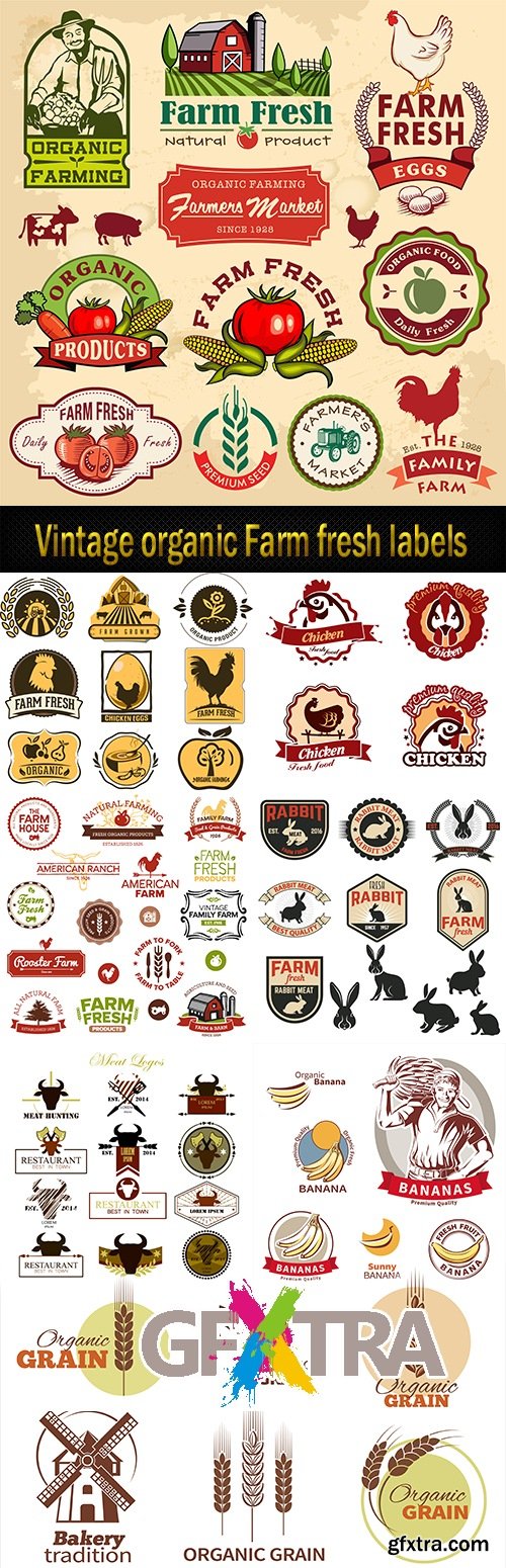 Vintage organic Farm fresh labels