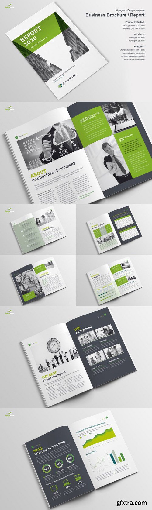 CM - Business Brochure / Report 11759