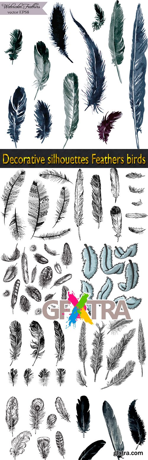 Decorative silhouettes Feathers birds