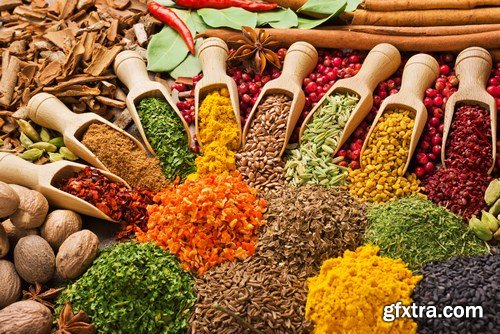 World of Spices & Seasonings - 25xUHQ JPEG