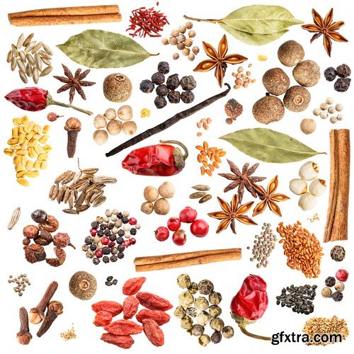 World of Spices & Seasonings - 25xUHQ JPEG