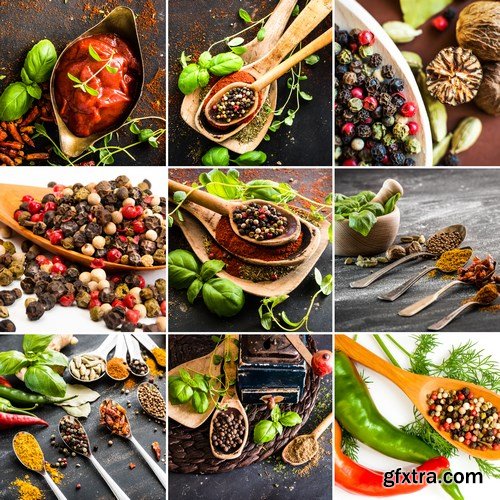 World of Spices & Seasonings - 25xUHQ JPEG