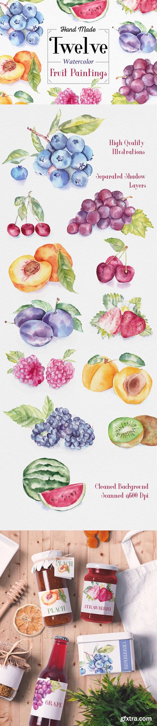 CM - Fruit Watercolor Illustrations 334077