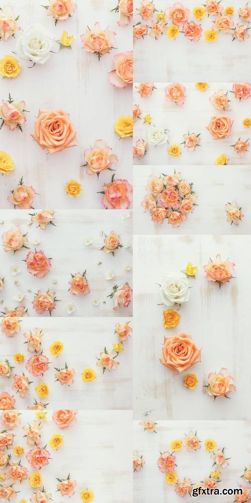 Roses and Jasmine Natural Flower Background