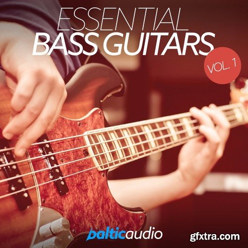 Baltic Audio Essential Bass Guitars Vol 1 WAV MiDi-DISCOVER