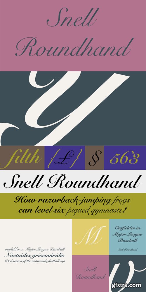 Snell Roundhand Font Family $69.60