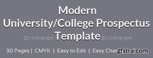 CodeGrape Modern University/College Prospectus Template 5269