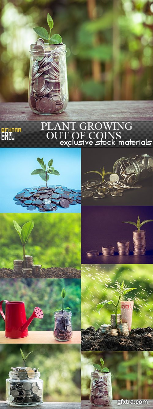 Plant growing out of coins, 8  x  UHQ JPEG