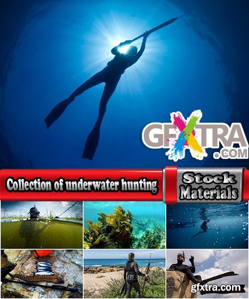 Collection of underwater hunting fishing mining trophy fish catch 25 HQ Jpeg