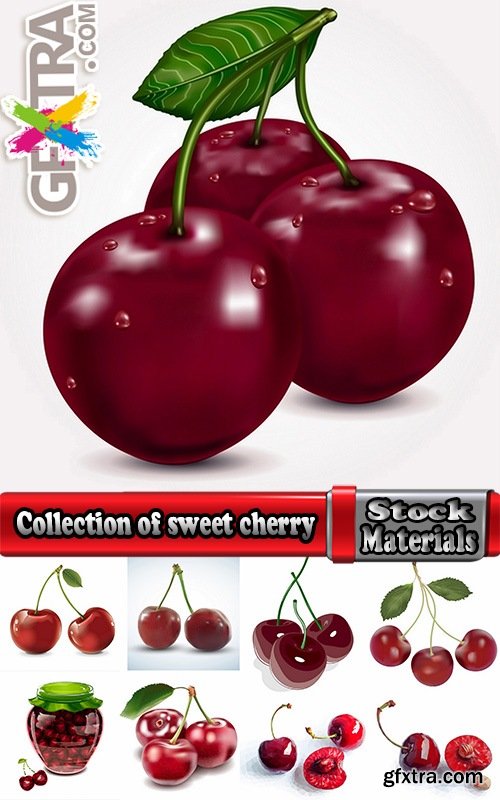 Collection of sweet cherry berry cherry vector image 25 EPS