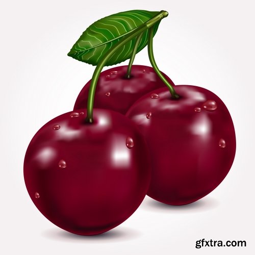 Collection of sweet cherry berry cherry vector image 25 EPS