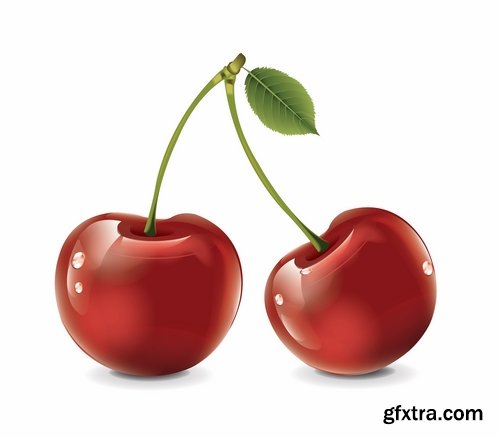 Collection of sweet cherry berry cherry vector image 25 EPS