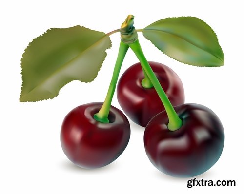 Collection of sweet cherry berry cherry vector image 25 EPS