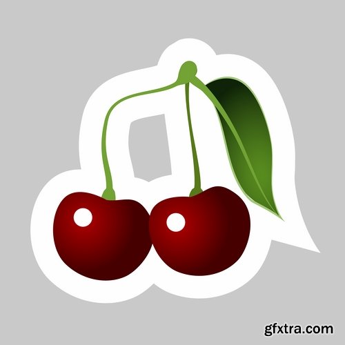 Collection of sweet cherry berry cherry vector image 25 EPS