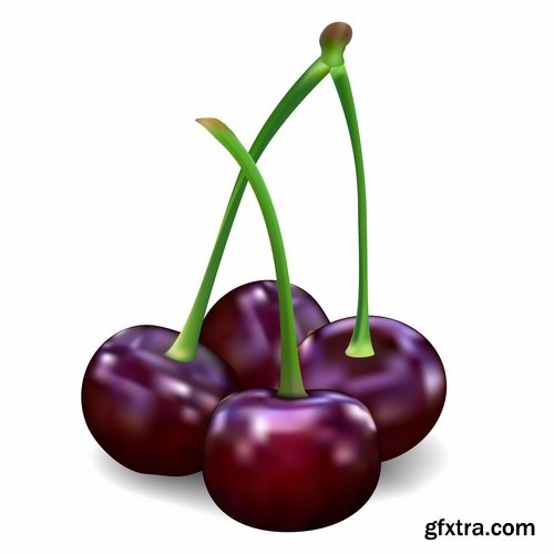 Collection of sweet cherry berry cherry vector image 25 EPS