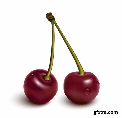 Collection of sweet cherry berry cherry vector image 25 EPS