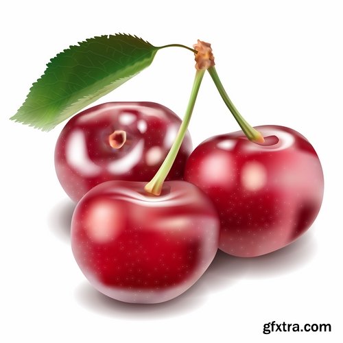 Collection of sweet cherry berry cherry vector image 25 EPS