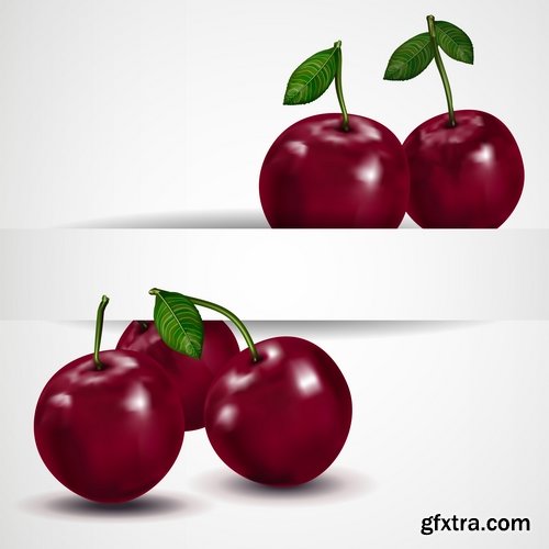 Collection of sweet cherry berry cherry vector image 25 EPS