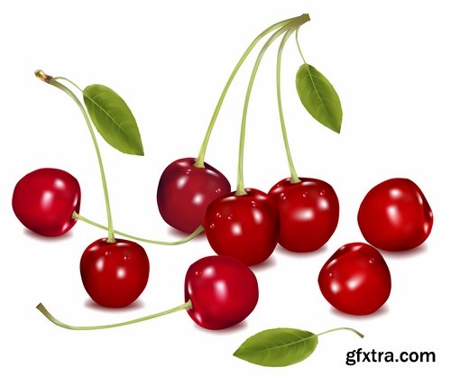 Collection of sweet cherry berry cherry vector image 25 EPS