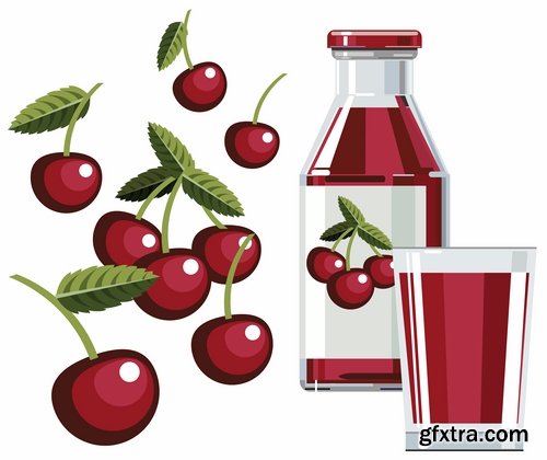 Collection of sweet cherry berry cherry vector image 25 EPS